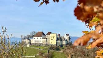 Goffersberg Aussicht Herbst