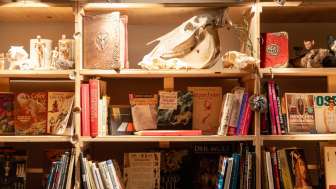 dracolorium-bibliothek
