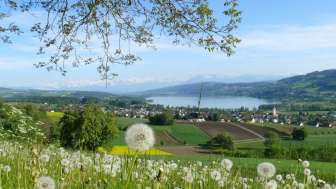 Blick vom Eichberg auf den Hallwilersee