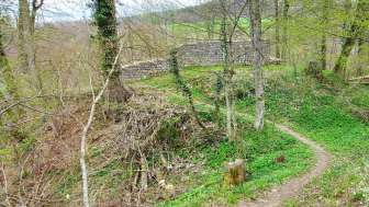 boebikon-weg-zur-ruine