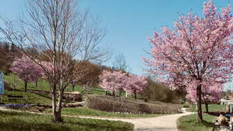 therapiegarten_zurzachcare