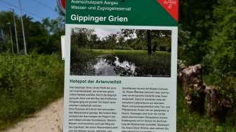 gippiger-grien-4