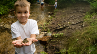 woodkids.ch