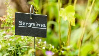 Achtsamkeitsgarten E