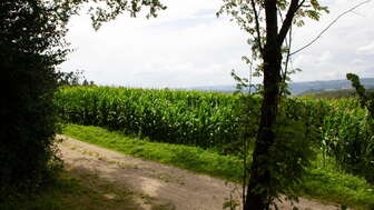 aussicht_grillstelle_oberholz