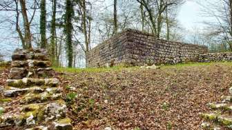 boebikon-ruine
