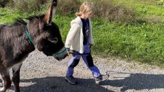Tiere