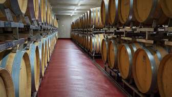 Weingut Goldwand Weinkeller
