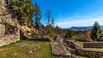 Ruine Alt Tierstein