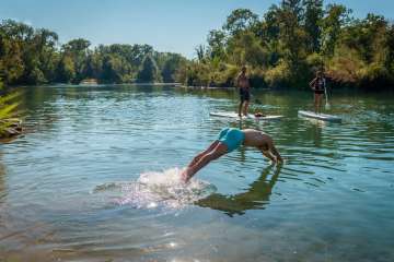 Sommergenuss auf in der Aare mit Schwimmer uind Stand Up Paddlern.