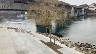 Rheintreppe bei der Holzbrücke