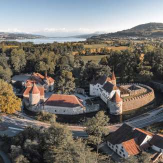 das wasserschloss hallwyl liegt malerisch im naturschutzgebiet am hallwilersee bei seengen.