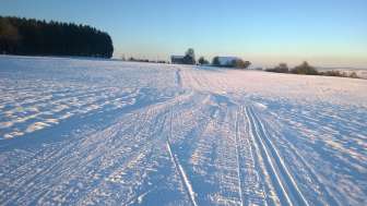 Herlisberg_317_Loipe_Herlisberg_Abendstimmung