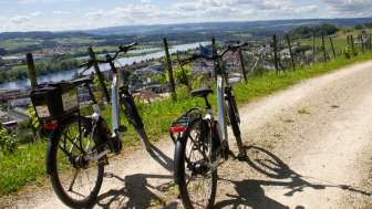 e-bike-aussicht-weinwanderweg-döttingen