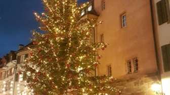 Tannenbaum vor dem Rathaus 2018