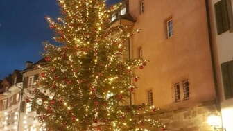 Tannenbaum vor dem Rathaus 2018