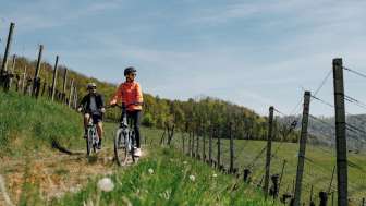 velofahren-reben-paar