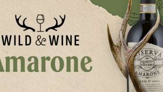 26 10 Wild Wine Amarone Anzeigebilder Vinum 1140x500