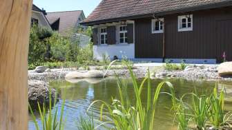 Teich beim Achtsamkeitsgsarten