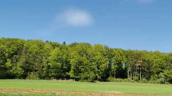 boebikon-gueggenhuehalde-wiese