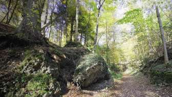 WaldBaden © Stadt Baden