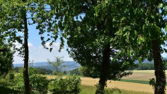 grillstelle-oberholz-aussichtspunkt-oberholz