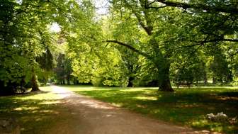 Bally-Park
