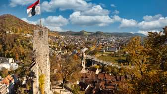 Ruine Stein