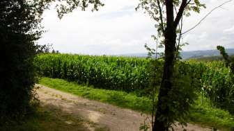 aussicht_grillstelle_oberholz