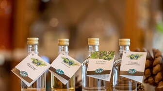 Gin