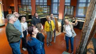 Highlights aus vindonissa vindonissa museum