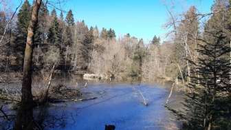 wohlen_Steffetsmösli