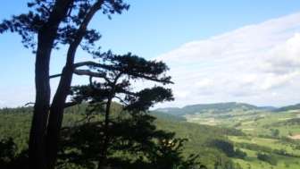 Aussichtspunkt Fluh Wegenstetten Richtung Westen