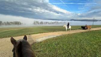 sandy-und-jessy’s-ponyparadies-reiten