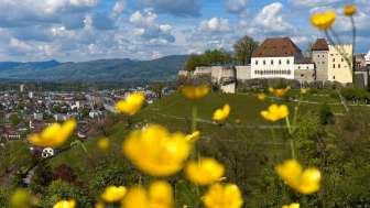 Goffersberg Aussicht Schloss Lenzburg