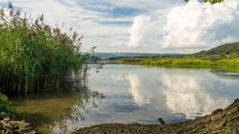 klingnauer-stausee-ufer-mit-wolken