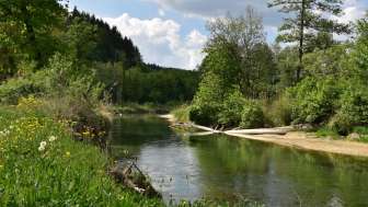 aue-chly-rhy-fluss-und-wiese