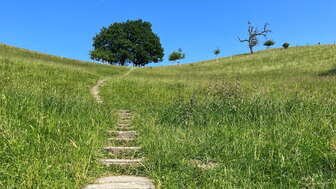 Goffersberg Spazier- und Wanderweg