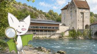 Frank LVS ChatGPT 20260717 Guidle