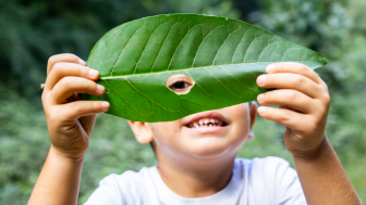 woodkids.ch