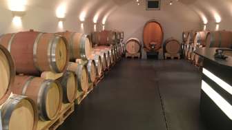 weingut-alter-berg-keller