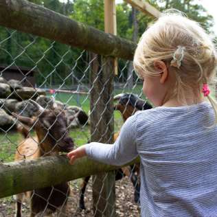Der Tierpark Bad Zurzach ist ein Ausflugziel für Jung und Alt. Tierfutter kann von einem Automaten bezogen werden.