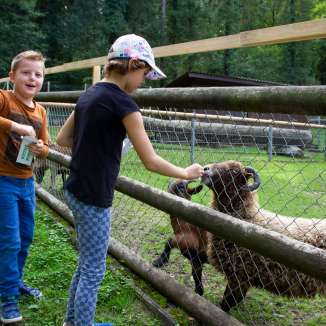 Der Tierpark Bad Zurzach ist ein Ausflugziel für Jung und Alt. Tierfutter kann von einem Automaten bezogen werden.