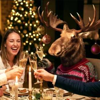 Drei Personen stossen beim festlichen Weihnachtsessen mit Champagner an, während ein Elch im Weihnachtspullover mit am Tisch sitzt.