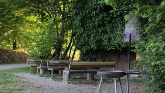 Rastplatz Rheinsulz