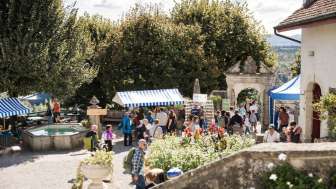 Event guidle tulpenzwiebel genussmarkt Schloss Wildegg 02