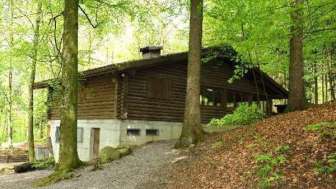 Tannenlaube