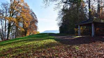 rietheim-rappenschnabel-im-herbst