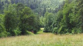 Aussicht vom Waldhaus Gipf-Oberfrick