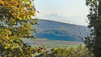 orchideenwiese-aemmeribuck-ausblick-feuerstelle